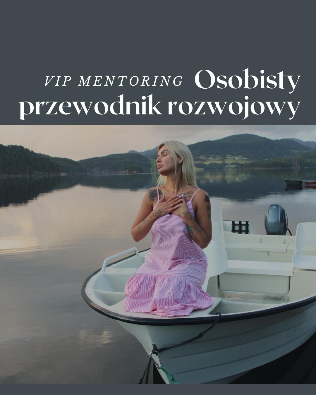 VIP Mentor